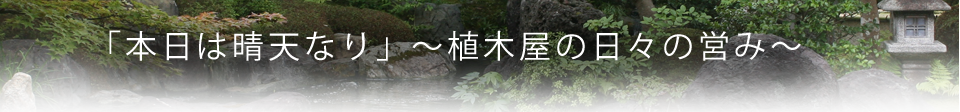 「本日は晴天なり」~植木屋の日々の営み~