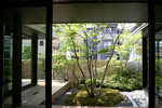 京都の庭３