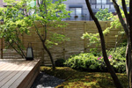 京都の庭４