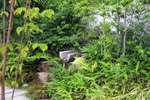 山口の庭２