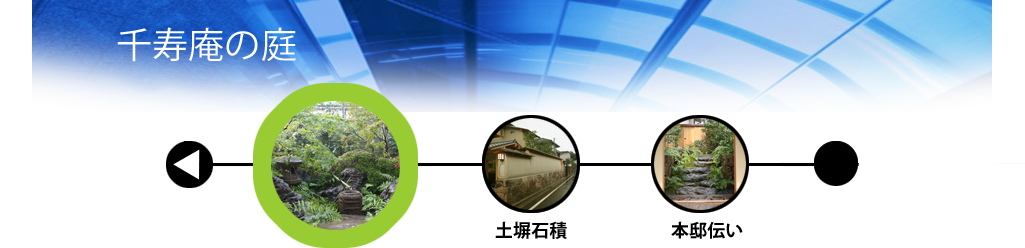 庭づくりのプロセス　千寿庵 主庭（全景）