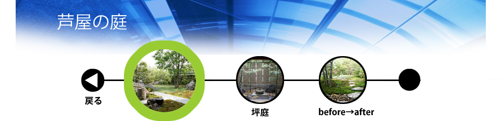 庭づくりのプロセス　芦屋の庭 全景