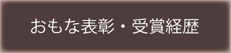 主な表彰・受賞経歴