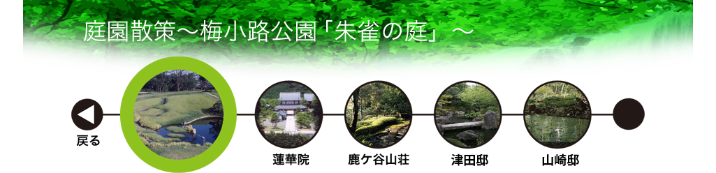 庭園散策　梅小路公園「朱雀の庭」