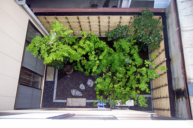 夷川の坪庭 image