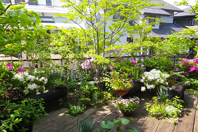 桂坂の庭 image