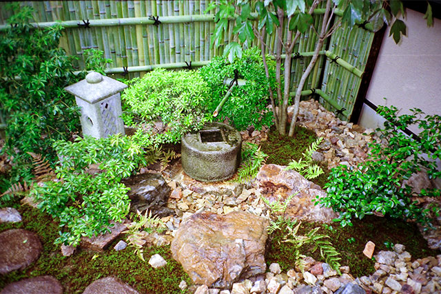 西桂坂の庭 image
