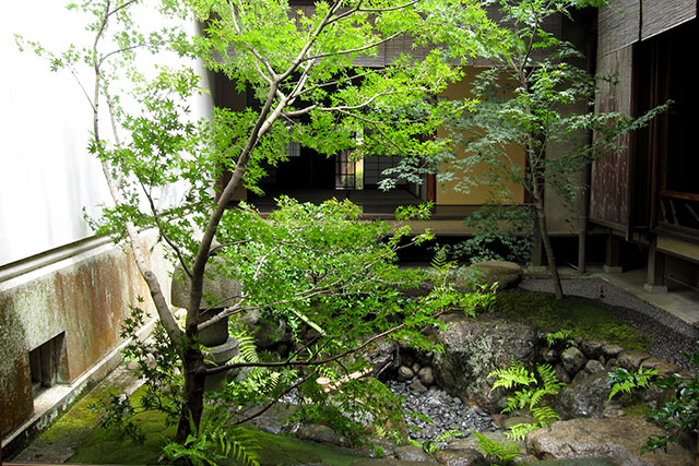 伏見稲荷大社 松の下屋 坪庭 image