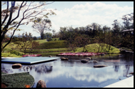 梅小路朱雀の庭